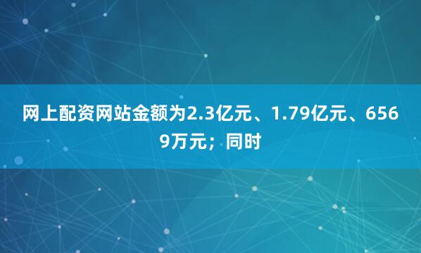 网上配资网站金额为2.3亿元、1.79亿元、6569万元；同时