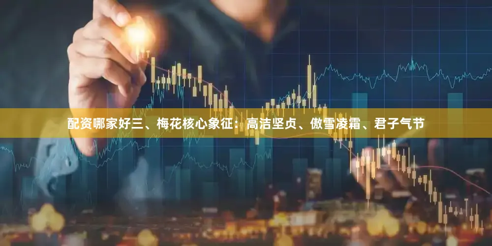 配资哪家好三、梅花核心象征：高洁坚贞、傲雪凌霜、君子气节